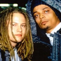 Biographie Bomfunk Mc`s