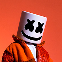 Biographie Marshmello