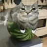 User_10610