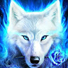 User_10613