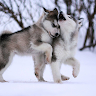 User_11068