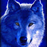 User_11202
