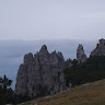 User_11341
