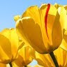 User_11648