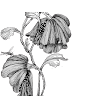 User_12928