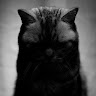 User_3255