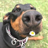 User_8412