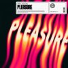 HAWK - Pleasure (feat. Azooland)