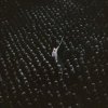 Pochette Swedish House Mafia & Niki & The Dove - Lioness Swedish House Mafia & Niki & The Dove - Lioness