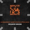 Pochette WHOWHENWHY, Guest Who & Haylee Wood - Sounds Insane (Extended Mix) WHOWHENWHY, Guest Who & Haylee Wood - Sounds Insane (Extended Mix)