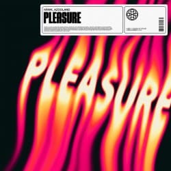 Pochette HAWK - Pleasure (feat. Azooland)