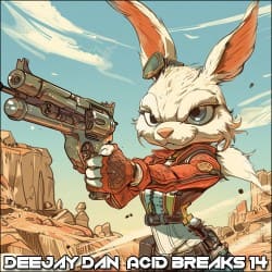 Pochette Acid Breaks 14 [2024]