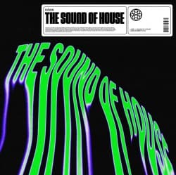 Pochette HÄWK, Azooland - The Sound Of House (Extended Mix)
