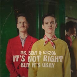 Pochette Mr. Belt & Wezol - It's Not Right (But It's Ok)