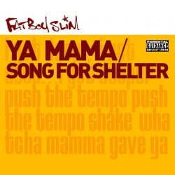 Pochette Fatboy Slim - Song for Shelter
