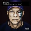 Pochette Ziggy X - X-Terminate (T-2025) Ziggy X - X-Terminate (T-2025)