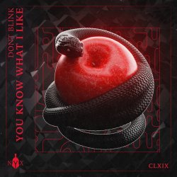 Pochette Dont Blink - YOU KNOW WHAT I LIKE