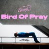 Pochette Ziferblat - Bird of Pray Ziferblat - Bird of Pray