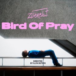 Pochette Ziferblat - Bird of Pray