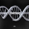 Pochette SHADU - CONTIGO SHADU - CONTIGO