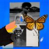 Pochette Green Velvet & Jamie Jones - Butterflies Green Velvet & Jamie Jones - Butterflies