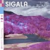 Pochette Sigala - With You (feat. Ely Oaks) Sigala - With You (feat. Ely Oaks)