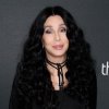 Pochette Cher - Gypsys, tramps & thieves Cher - Gypsys, tramps & thieves