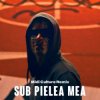 Pochette Carla`s Dreams - Sub pielea mea (Midi Culture Remix) Carla`s Dreams - Sub pielea mea (Midi Culture Remix)