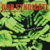 Pochette Dub Syndicate - Guns & Cocaine Crime Dub Syndicate - Guns & Cocaine Crime