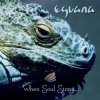 Pochette Eguana - In The Forest Eguana - In The Forest