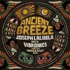 Pochette Vibronics - Kings Engine Vibronics - Kings Engine