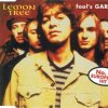 Pochette Fools Garden - Lemon Tree Fools Garden - Lemon Tree