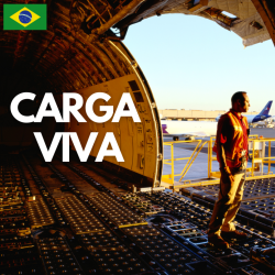 Pochette Carga Viva - Maquillaje