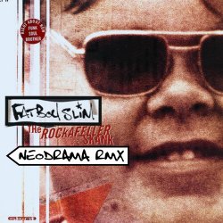 Pochette Fatboyslim - The Rockafeller skank
