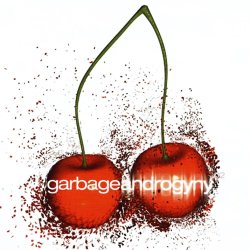 Pochette Garbage - Androgyny