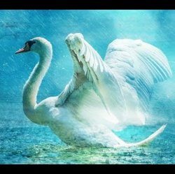Pochette Lacross - Save Me (Swan Lake)