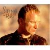 Pochette Sting & Feat Cheb Mami - Desert Rose Sting & Feat Cheb Mami - Desert Rose