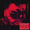 Darci - Code Red
