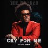 Pochette The Weeknd - Cry For Me (Dj Dark Remix) The Weeknd - Cry For Me (Dj Dark Remix)