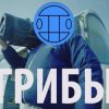 Pochette Грибы - Тает Лёд Грибы - Тает Лёд