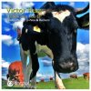 Pochette Victor Ruiz - I Look Into You Victor Ruiz - I Look Into You