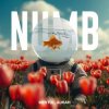 Pochette Linkin Park - Numb (Mentol Remix) Aurah Cover Linkin Park - Numb (Mentol Remix) Aurah Cover