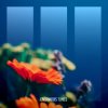 Pochette Path Of Youth - Cassiopeia Path Of Youth - Cassiopeia