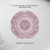 Pochette David Hohme & Artic White - Friendly Fire David Hohme & Artic White - Friendly Fire
