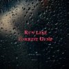 Pochette DA TI - RUN LIKE FORREST GUMP (SIRIN INCI REMIX) DA TI - RUN LIKE FORREST GUMP (SIRIN INCI REMIX)
