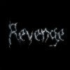 Pochette The Revenge - Every Night The Revenge - Every Night
