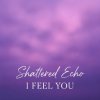 Pochette Shattered Echo - I Feel You Shattered Echo - I Feel You