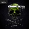 Pochette The Chaotic - Project Ghost The Chaotic - Project Ghost