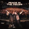 Pochette David Puentez & ISAAK - Peace In The Pieces David Puentez & ISAAK - Peace In The Pieces