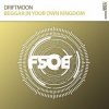 Pochette Driftmoon - Beggar In Your Own Kingdom Driftmoon - Beggar In Your Own Kingdom